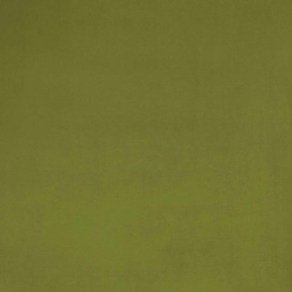 gaston-y-daniela-ulises-fabric-gdt-5795-023-verde
