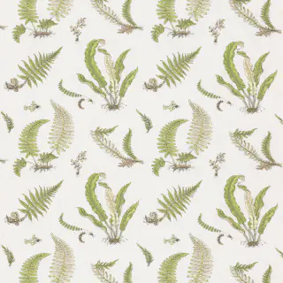 gpj-baker-ferns-embroidery-fabric-bf10991-2-green
