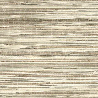 phillip-jeffries-grass-roots-wallpaper-3365-world-class-white