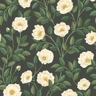 hampton-roses-118-7016-wallpaper-historic-royal-palaces-great-masters-cole-and-son