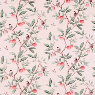 harlequin-ella-fabric-121112-powder-sage-peach