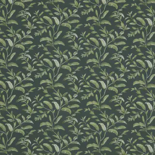 iliv-oasis-fabric-pine