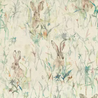 Jack Rabbit Linen