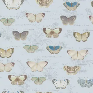 John Derian Butterfly Studies Wallpaper Cloud Blue PJD6017/02