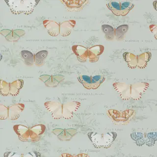 John Derian Butterfly Studies Wallpaper Eau de Nil PJD6017/03