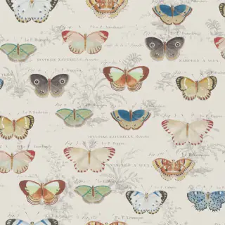 John Derian Butterfly Studies Wallpaper Parchment PJD6017/01