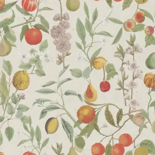 John Derian Orchard Fruits Wallpaper Parchment PJD6018/01