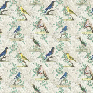 John Derian Wallpaper Birds Fabric Parchment FJD6046/01