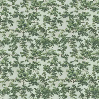 John Derian Woodland Fabric Forest FJD6045/01