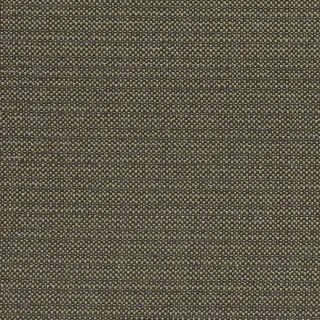kauai-f1299-02-charcoal-fabric-exotica-clarke-and-clarke