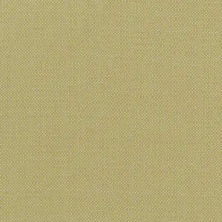 kauai-f1299-03-citron-fabric-exotica-clarke-and-clarke