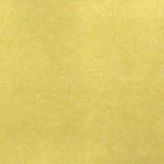 kieffer-feral-fabric-17308-010-limone