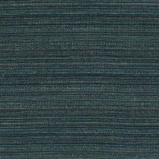 Latitude Peacock M601-03