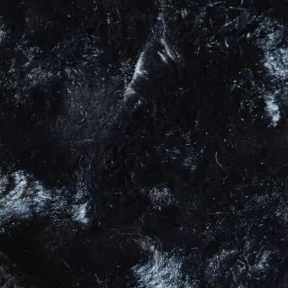 lelievre-loutre-fabric-0620-02-noir