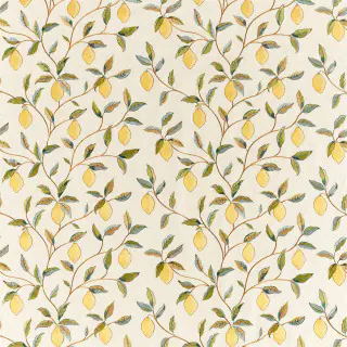 Lemon Tree Embroidery 236823