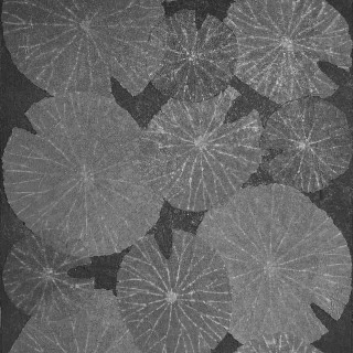 lilies-midnight-pond-8463-wallpaper-phillip-jeffries.jpg
