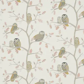 Little Owls 120934