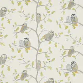 Little Owls 120935