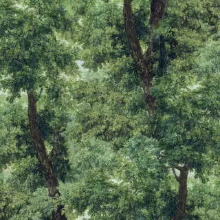 mind-the-gap-branchy-wallpaper-wp20785-meadow-green