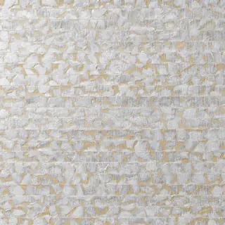 nacre-sey14-wallpaper-seychelles-nobilis