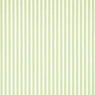 sanderson-new-tiger-stripe-wallpaper-dcavtp103-leaf-green-ivory