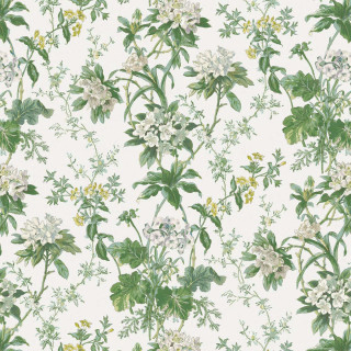 nina-campbell-somerhill-fabric-ncf4531-02-green-white-chartreuse