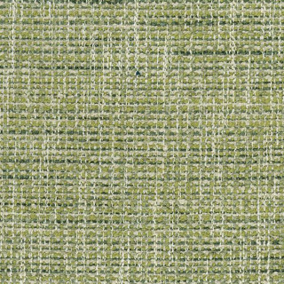 nina-campbell-weald-fabric-ncf4525-06-green-lime