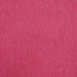 no9-thompson-amalfi-fabric-n9012375-013-brilliant-rose