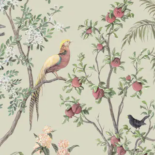 nobilis-pomegranate-wallpaper-mhp80