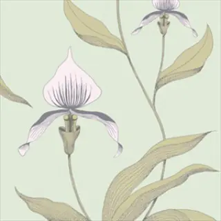 Orchid 66-4028