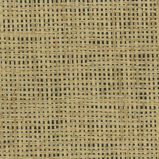 osborne-and-little-papyrus-wallpaper-w7930-04-walnut