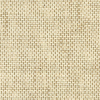 osborne-and-little-papyrus-wallpaper-w7930-09-bamboo