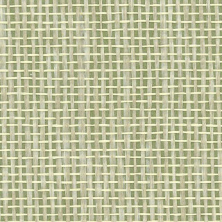 osborne-and-little-papyrus-wallpaper-w7930-13-olive