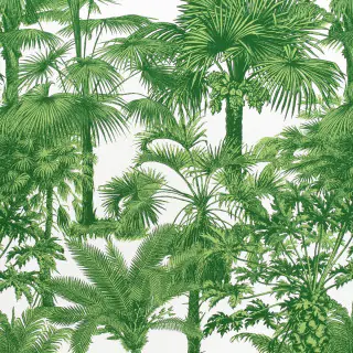 Palm Botanical F910103