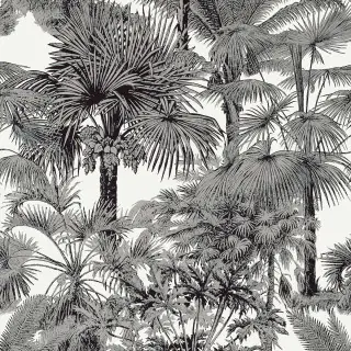 Palm Botanical T10102