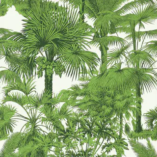 Palm Botanical T10103
