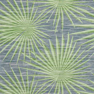 Palm Frond T10141