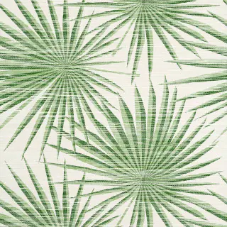 Palm Frond T10142
