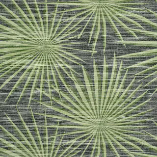 Palm Frond T10143