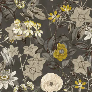 passiflora-f1304-01-charcoal-fabric-exotica-clarke-and-clarke