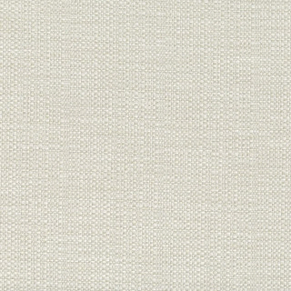 perennials-raffia-fabric-210-224-chalk