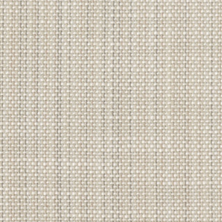 perennials-rough-copy-fabric-956-124-sea-salt