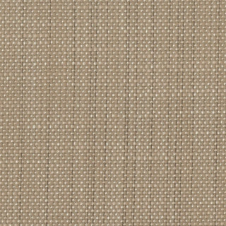 perennials-rough-copy-fabric-956-229-sahara