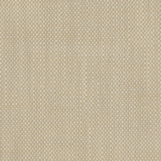 perennials-rough-n-rowdy-fabric-955-02-parchment