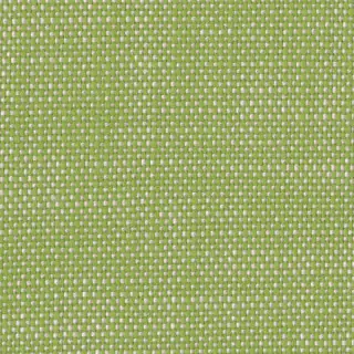 perennials-rough-n-rowdy-fabric-955-428-r-green