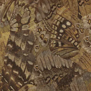 phillip-jeffries-aflutter-wallpaper-9836-dashing-brown