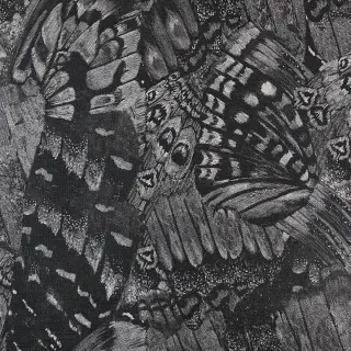 phillip-jeffries-aflutter-wallpaper-9838-buzzing-black
