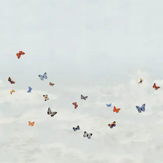 phillip jeffries butterfly sky 9665 pj9665 wallpaper