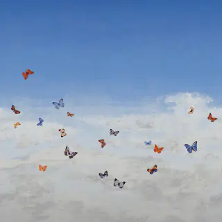 phillip jeffries butterfly sky 9669 pj9669 wallpaper