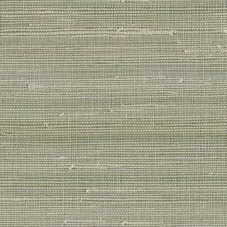 phillip-jeffries-jazzy-jute-wallpaper-8851-green-groove